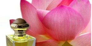 Lotus Attar