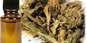 Sandalwood Shamama Attar