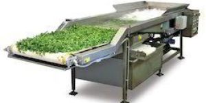 Vegetable and Fruit Washing Line