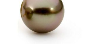 Tahitian Copper Pearl