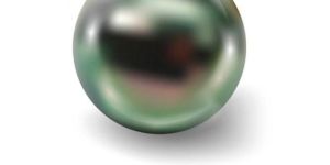 Tahitian Peacock Black Pearl