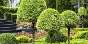 Landscape Maintenance