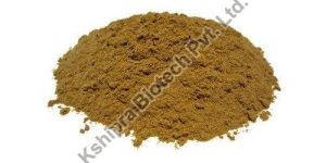 Tylophora Indica Leaf Extract