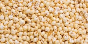 Organic Puffed Millet