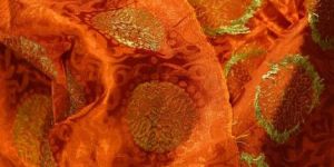 Printed Chanderi Fabric