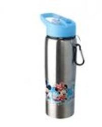 Insulated Bottle