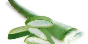Aloe Vera Leaf Extract