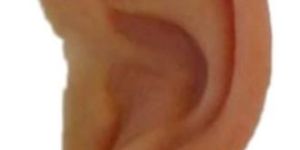 Artificial Silicone Ear