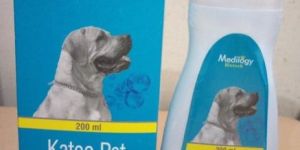 Ketoconazole and Chlorhexidine Shampoo