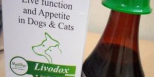 Livodox Syrup