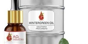 Wintergreen Oil