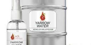 Yarrow Water