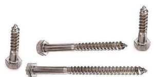 Hex Coach Screw