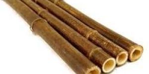 Bamboo Pole