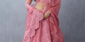 Organza Silk Lehenga Choli