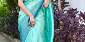 Zari Weaving Silk Sarees