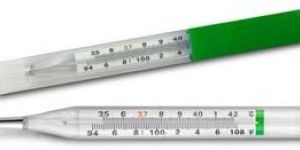 Oval Thermometer