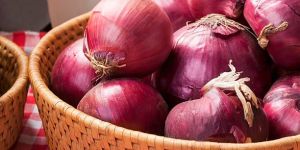 Organic Onion