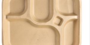Sugarcane Bagasse Meal Tray