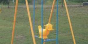 Flying Animal Swing