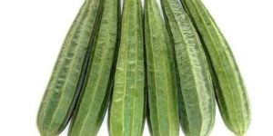 Fresh Ridge Gourd