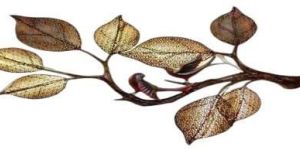 Tree Branch Wall Decor