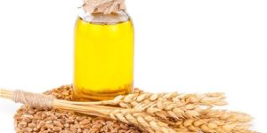 Wheat Gram Oil