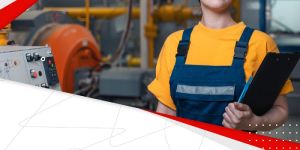 Third Party Inspection Service in Noida