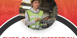 Third Party Inspection in Panipat