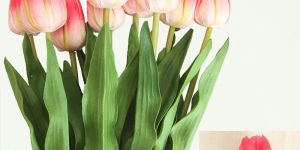 Artificial Tulip Flower