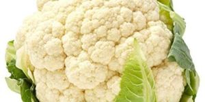Fresh Cauliflower