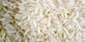 PK-386 White Non Basmati Rice