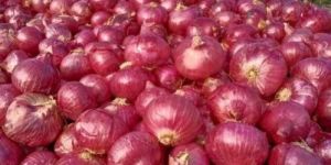 Red Onion