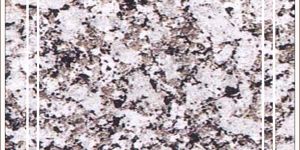 Platinum White Granite Slab