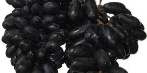 Fresh Black Grapes