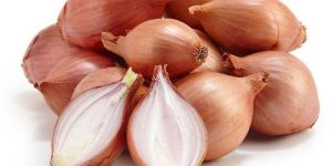 Fresh Shallot Onion