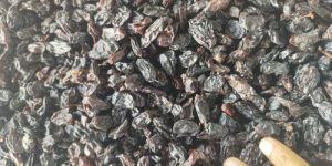 Average Black Raisins