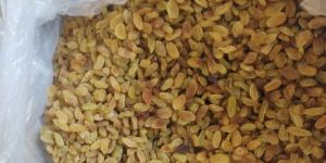 Seedless Golden Raisins