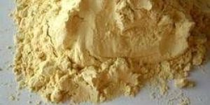Yellow Dextrin Powder