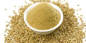 Coriander Powder