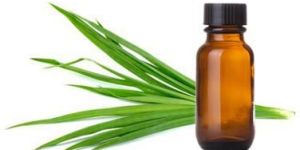 Gingergrass Essential Oil