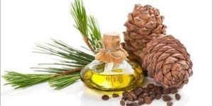 Himalayan Cedarwood Essential Oil