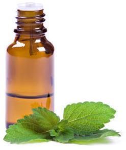 Indian Peppermint Essential Oil