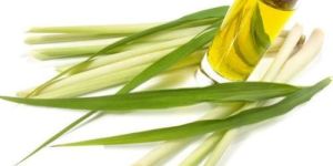 Lemongrass Oil