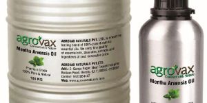 Mentha Arvensis Oil