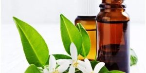 Neroli Essential Oil