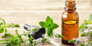 Spanish Peppermint Essential Oil
