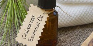 Texas Cedarwood Essential Oil