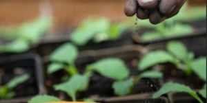 Ayurveda Training Course