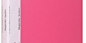 Saya Spring Transfer Clip File Vibrant-A4